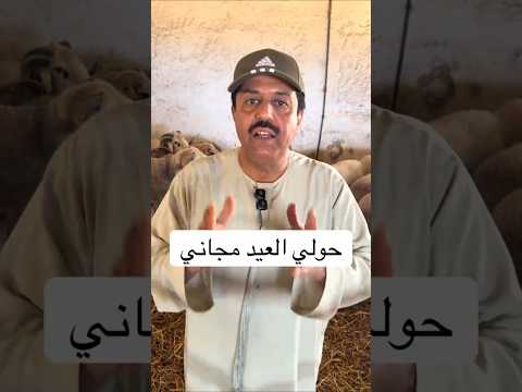 حولي العيد مجاني 🐑
